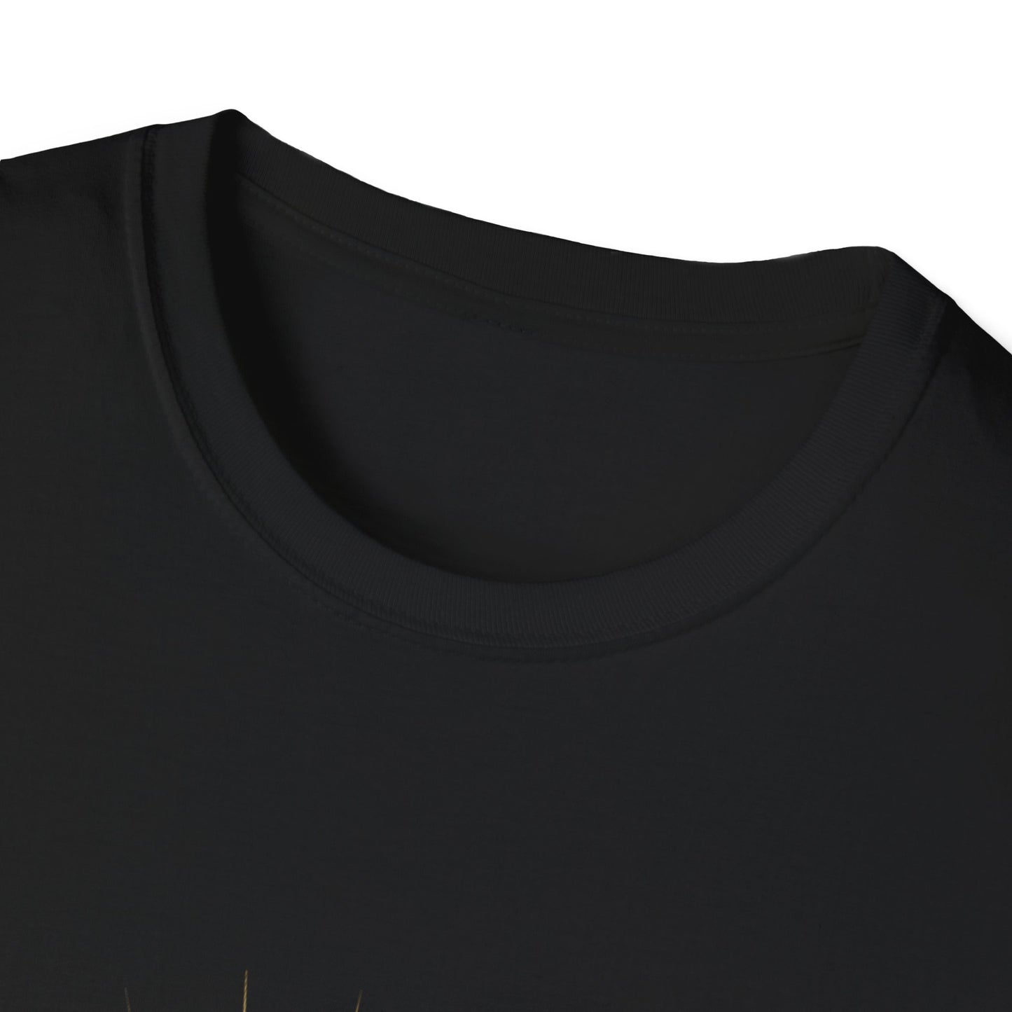 Sunburst Erie Eclipse 2024, Softstyle Tee, Solar Event Unisex T-Shirt, Eclipse Shirt