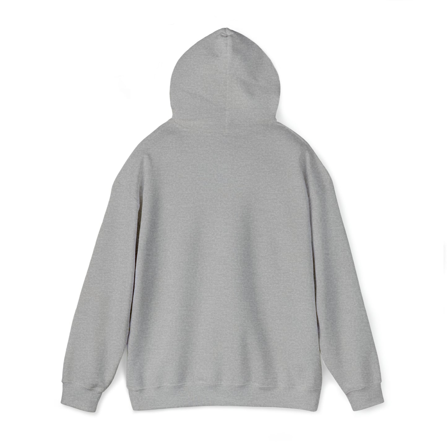 Essence of Erie Hoodie, Pennsylvania Waves design, Unisex Heavy Blend
