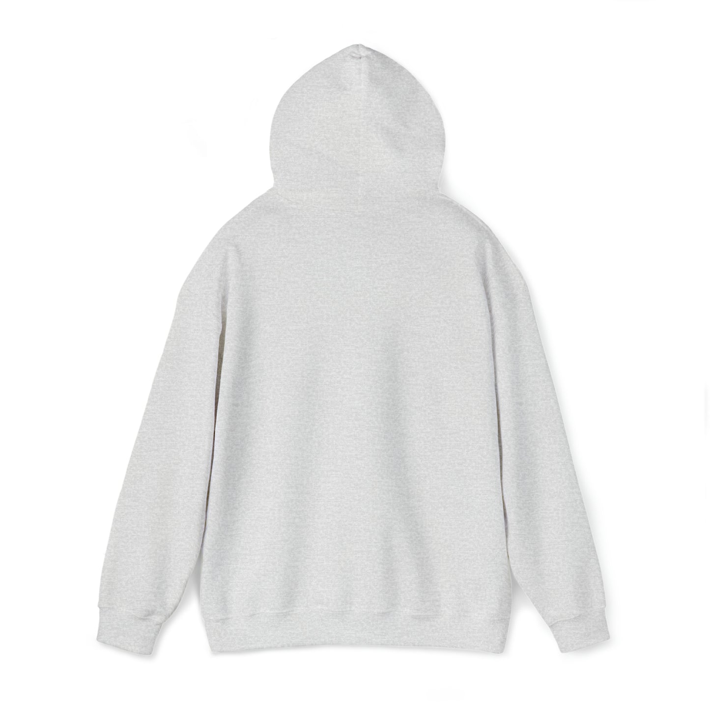 Essence of Erie Hoodie, Pennsylvania Waves design, Unisex Heavy Blend