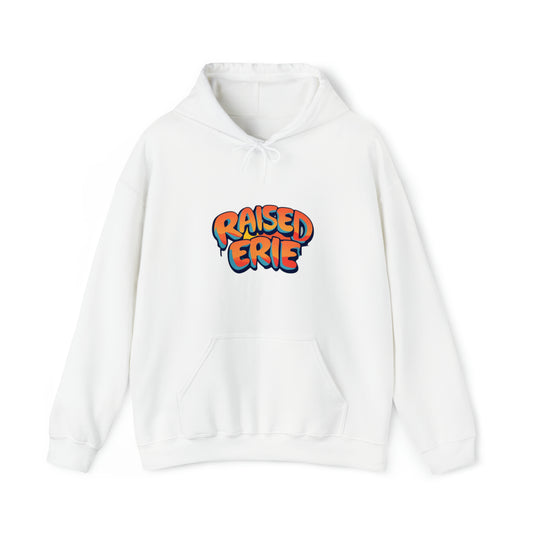 Erie Print Unisex Heavy Blend Hooded Cotton Sweatshirt